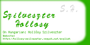 szilveszter hollosy business card