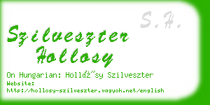 szilveszter hollosy business card